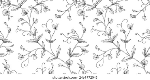 sweet pea floral pattern black and white illustration