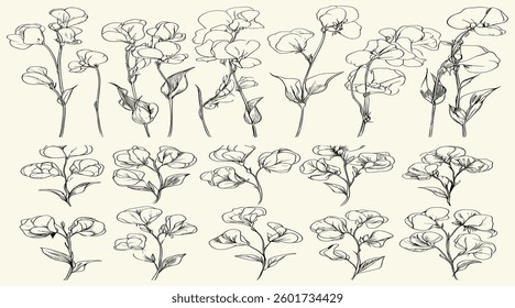 Sweet pea flowers in black line art for vintage wedding invitations, logos, elegant decor, and personalized stationery, ideal for classic branding, botanical floral branch, trendy greenery.