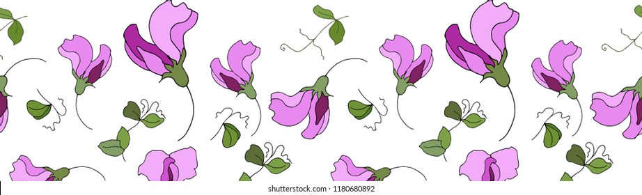 Sweet pea flowers seamless pattern border.