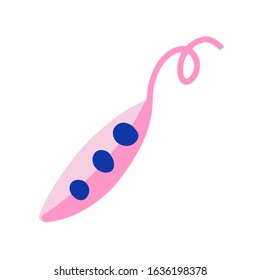 Sweet pea icon, isolated vegetable ingredient, garden green peas growing, healthy vegetable eating, symbol of gardening and agriculture, cute handdrawn illustration, pead pod clip art sweet fresh crop