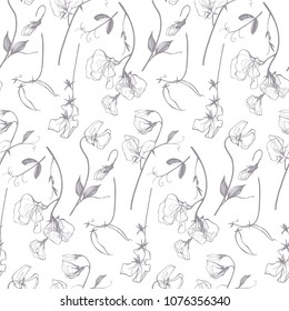 Sweet pea linear floral pattern in gray and white