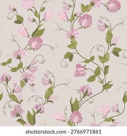 Sweet pea on a gray background. A seamless vector illustration featuring delicate flowers. Perfect for decorating textiles and packaging.