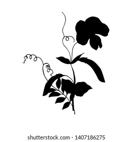 Sweet Pea. Silhouette. Vector Illustration.