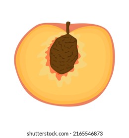Vector de frutas veganas de durazno, ilustración aislada plana. Sabrosa fruta de verano. Sabor de guindilla. Comida de dibujos animados coloridos de estilo plano. Comida ecológica. Frutas dulces vegetarianas