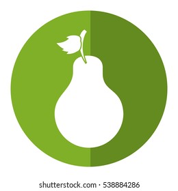 sweet pear fruit green circle shadow