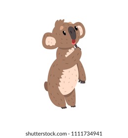 Sweet pensive koala bear, Australian marsupial animal character vector Illustrations on a white background