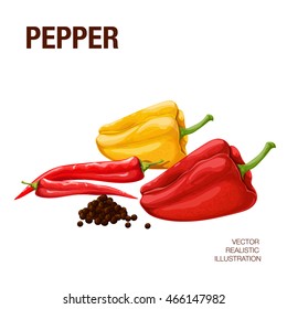 Sweet pepper. Pepper bitter. Black pepper. The illustration on a white background executed in a realistic style vector