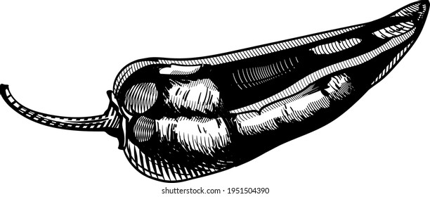 Sweet pepper. Black and white graphic image