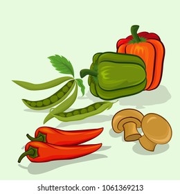 Sweet pepper chilli string bean and mushroom vector illustration.
