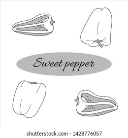 Sweet pepper - fresh vegetable. Hand drawn style. Vector illustration