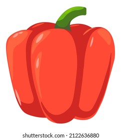 Sweet pepper, isolated Bulgarian kind of plan. Tasty organic ingredients for cooking and preparing dishes, raw nutritious paprika for salads and meals for vegans and vegetarians. Vector in flat style