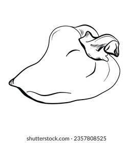 ilustración vectorial del doodle de pentón dulce