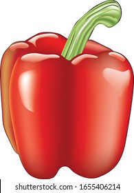 Gemüsepaprika mit grünem Stiel