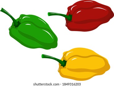 Sweet pepper for salad - green, yellow and red. Vector illustration on a white background. For cafes, restaurants and menus, logos and icons, farms and markets. Healthy and fresh food.