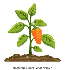 Sweet pepper seedlings grow out of the ground. Season of the garden and vegetable garden. Edible plant. Vector. White background. 