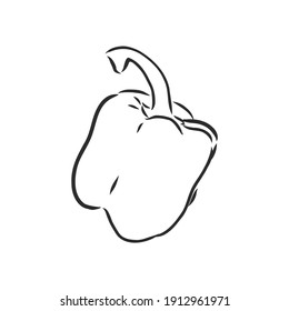 Sweet pepper. Vector hand drawn vegetables isolated on white background. bell pepper, vector sketch illustration