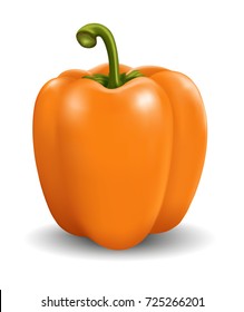 Sweet pepper - vector illustration