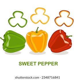 Sweet pepper. Vector illustration. Easy to edit. white background
