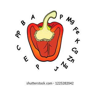 Sweet pepper with vitamins and microelements diet food useful; Vector illustration; 2D
