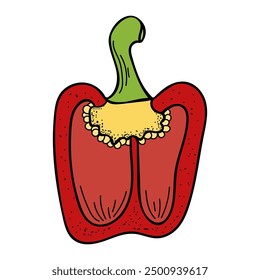 Sweet peppers flat. Harvest ripe vegetables garden. Hot spices. Sliced bell pepper. Fresh fruit. Hand drawn vector doodle illustration.