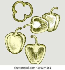 Sweet peppers sliced in pieces. Vector Image