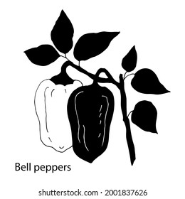 Sweet peppers. Vegetable culture. Vector illustration. Black silhouette.