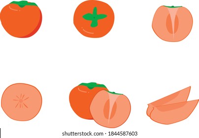 sweet persimmon fruit vector set