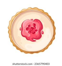 Sweet pie with raspberry sauce, dessert view from above vector illustration. Cartoon isolated whole round tart with red berry jam on top of baked vanilla cream and cheese filling, shortcake pie crust