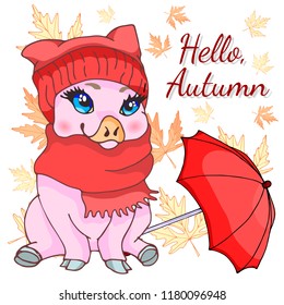 A sweet pig in a hat and scarf. Red umbrella. Maple leaves. Hello, autumn. Autumn illustration. Vector illustration.