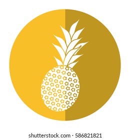 sweet pineapple tropical fruit shadow