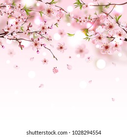 süß rosa Sakura blühender Hintergrund, Vektorgrafik