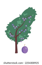 Sweet plum fruit tree flat icon Agriculture and gardening. Vector illustration