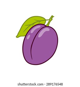 Sweet plum. Hand drawn vector illustration. Can be used as t-shirt and product print or advertisement (label, menu). 