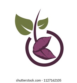 sweet potato agricultural and green food logo