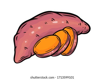 Sweet potato. Batat sweet potato vegatable ingidient for healthy food. Isolated on white background.