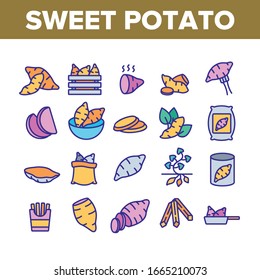 Sweet Potato Batata Collection Icons Set Vector. Fried And Boiled Sweet Potato, Sliced And Fresh Vegetable, In Bag And Box Concept Linear Pictograms. Color Contour Illustrations