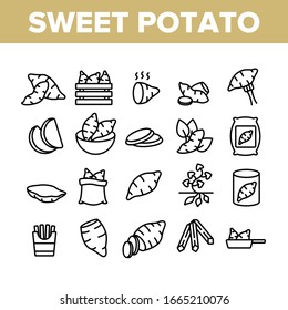 Sweet Potato Batata Collection Icons Set Vector. Fried And Boiled Sweet Potato, Sliced And Fresh Vegetable, In Bag And Box Concept Linear Pictograms. Monochrome Contour Illustrations