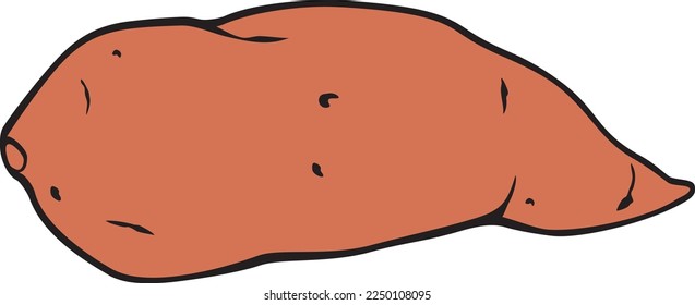 Sweet Potato Color. Vector Illustration.