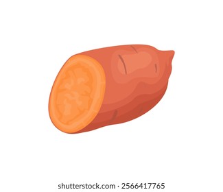 Sweet potato cut in half. Batatas isolated on white background. Vector cartoon illustration of healthy food. 