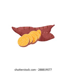 Sweet Potato Design, Illustration, Vector