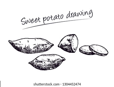 Sweet Potato Drawing