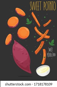 Sweet Potato. Sweet Potato Fried. Vector Illustration