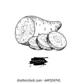 Sweet potato hand drawn vector illustration. Isolated Vegetable engraved style object. Detailed vegetarian food drawing. Farm market product. Great for menu, label, icon