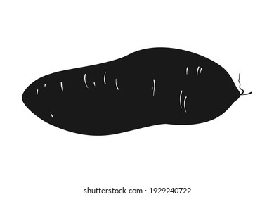 Sweet potato as healthy food cooking ingredient in vector