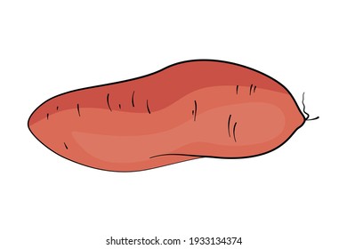 Sweet potato as healthy food cooking ingredient in flat design vector