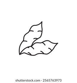 Sweet potato icon line art vector