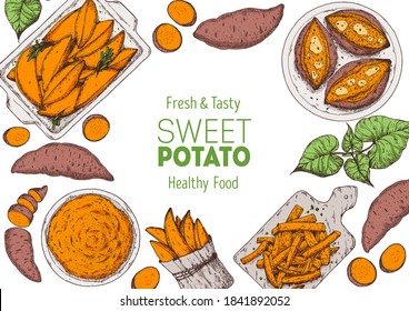 Sweet Potato Illustration. Batatas Hand Drawn Vector Illustration. Farm Market Food. Raw And Cooked Sweet Potatoes Hand Drawn. Packaging Design.