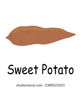 Sweet potato illustration flat vector. Vegetables flashcard. Element for kitchen, cooking, super market, healthy lifestyle concept.