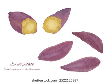 Sweet potato illustration set drawn in watercolor