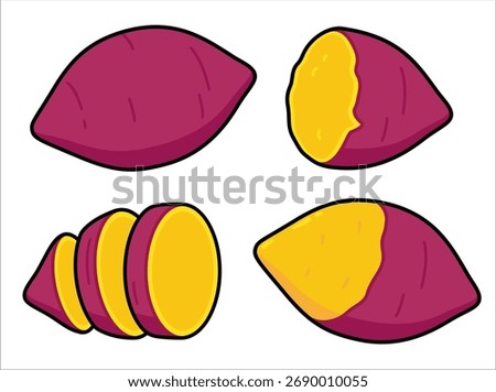 Sweet potato illustration set. Raw and cooked, sliced and peeled. Cartoon drawing, vector clipart.